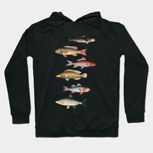 My Lucky Fishing Costume - Freshwater Fish Bass Hoodie